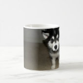 Alaskan malamute pup 3 koffiemok (Center)