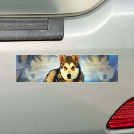 Alaskan Malamute Puppies Bumpersticker (Op auto)