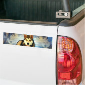 Alaskan Malamute Puppies Bumpersticker (Op Truck)