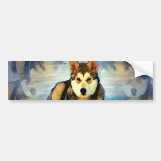 Alaskan Malamute Puppies Bumpersticker (Voorkant)