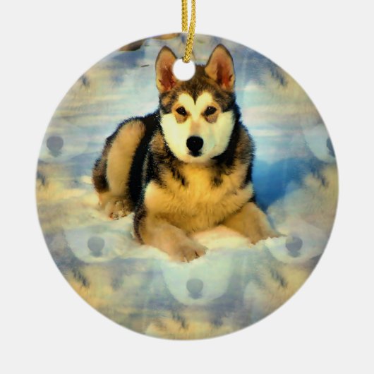 Alaskan Malamute Puppies Ornament (Voorkant)