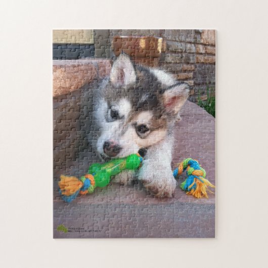Alaskan Malamute Puppy Close-up foto Legpuzzel (Verticaal)