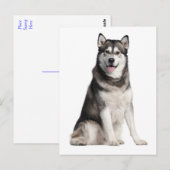 Alaskan Malamute Puppy Dog Briefkaart (Voorkant / Achterkant)
