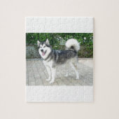 Alaskan Malamute Puppy Dog Legpuzzel (Verticaal)