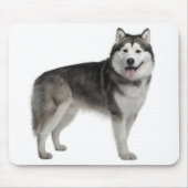 Alaskan Malamute Puppy Dog Mousepad Muismat (Voorkant)
