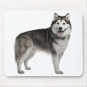 Alaskan Malamute Puppy Dog Mousepad Muismat