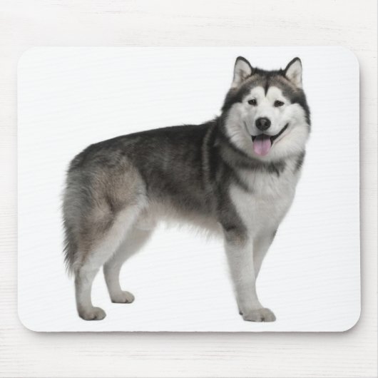 Alaskan Malamute Puppy Dog Mousepad Muismat (Voorkant)