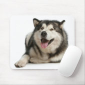 Alaskan Malamute Puppy Dog Mousepad Muismat (Met muis)