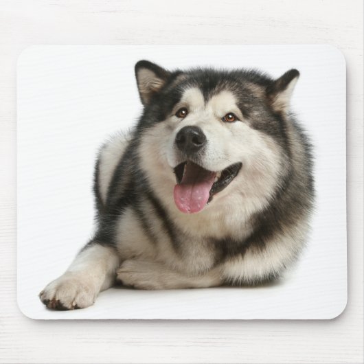 Alaskan Malamute Puppy Dog Mousepad Muismat (Voorkant)