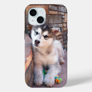 Alaskan Malamute Puppy Head-kantelfoto iPhone 15 Case