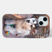 Alaskan Malamute Puppy Head-kantelfoto Case-Mate iPhone Case (Achterkant (horizontaal))