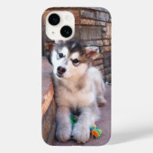 Alaskan Malamute Puppy Head-kantelfoto Case-Mate iPhone Case (Achterkant)