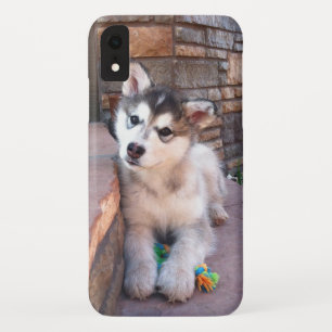 Alaskan Malamute Puppy Head-kantelfoto Case-Mate iPhone Case
