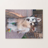 Alaskan Malamute Puppy Head-kantelfoto Legpuzzel (Horizontaal)