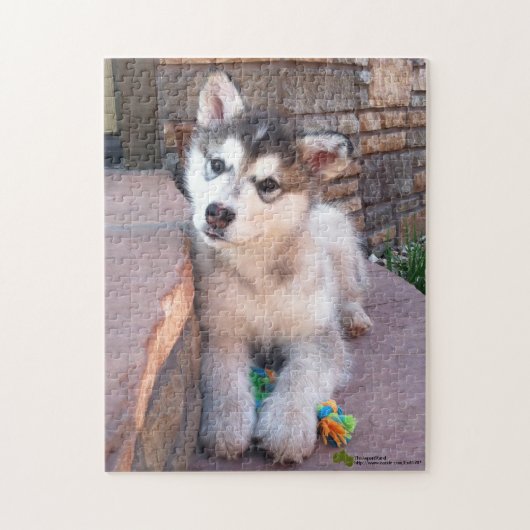 Alaskan Malamute Puppy Head-kantelfoto Legpuzzel (Verticaal)