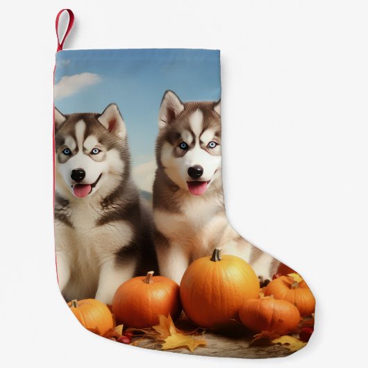 Alaskan Malamute Puppy Herfst Delight Pompoen Kleine Kerstsok (Voorkant)