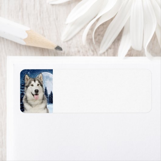 Alaskan Malamute Return-adreslabel Etiket (Insitu)