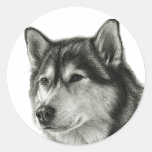 Alaskan Malamute Ronde Sticker (Voorkant)