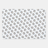 Alaskan Malamute Schilderij Mal Sled Dog Art Inpakpapier Vel (Voorkant 2)