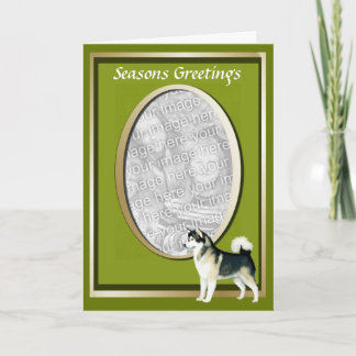 Alaskan Malamute Seasons Wenskaart Feestdagen Kaart