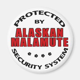 Alaskan Malamute Security Magneet