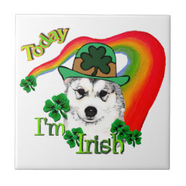 Alaskan Malamute St. Patrick's Day Tegeltje