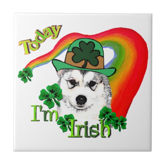 Alaskan Malamute St. Patrick's Day Tegeltje (Voorkant)