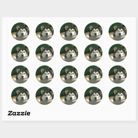 Alaskan Malamute Sticker (Vel)