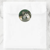 Alaskan Malamute Sticker (Tas)