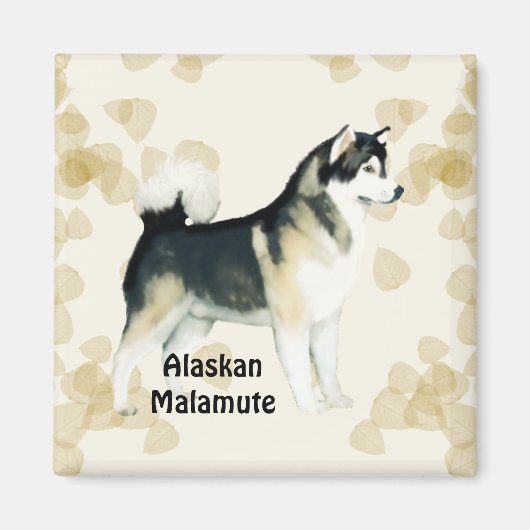 Alaskan Malamute ~ Tan laat motief Magneet (Voorkant)