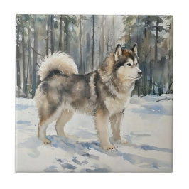 Alaskan Malamute Tegeltje