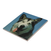 Alaskan Malamute Tile Tegeltje (Zijkant)