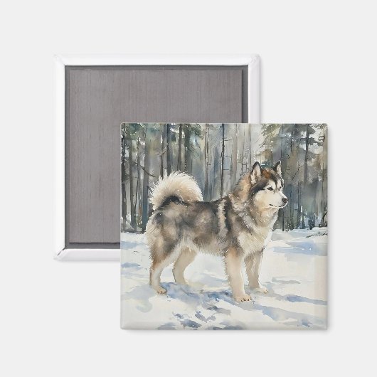 Alaskan Malamute Trinket Box Magneet (Voorkant / Achterkant)