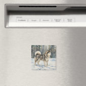 Alaskan Malamute Trinket Box Magneet (Insitu (Vaatwasser))