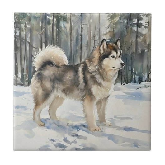 Alaskan Malamute Trinket Box Tegeltje (Voorkant)
