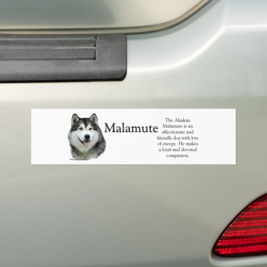 Alaskan Malamute Trivia Bumpersticker (Op auto)