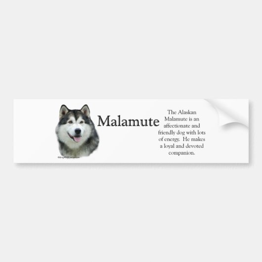 Alaskan Malamute Trivia Bumpersticker (Voorkant)
