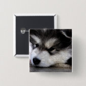 Alaskan Malamute Vierkante Button 5,1 Cm (Voorkant /achterkant)