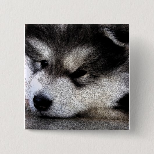 Alaskan Malamute Vierkante Button 5,1 Cm (Voorkant)