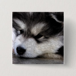 Alaskan Malamute Vierkante Button 5,1 Cm