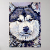 Alaskan Malamute Wall Print (Voorkant)