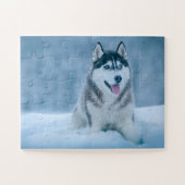 Alaskan Malamute wandelen op sneeuwveld Legpuzzel (Horizontaal)