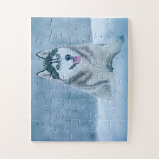 Alaskan Malamute wandelen op sneeuwveld Legpuzzel (Verticaal)