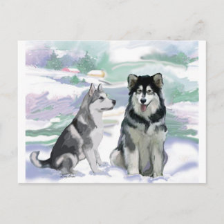 Alaskan Malamute Winter Scene Briefkaart