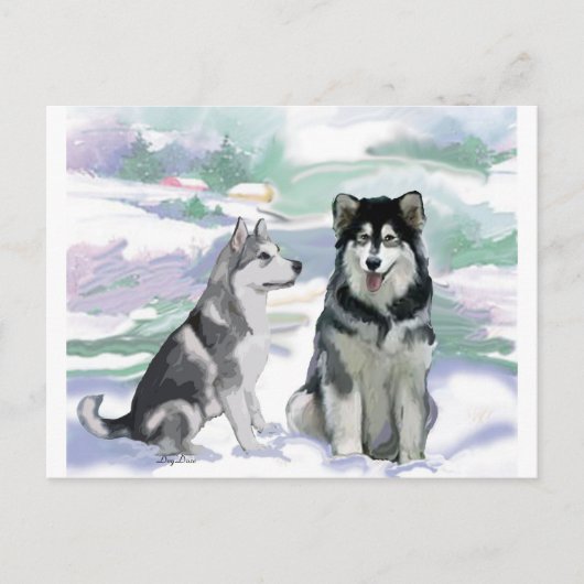 Alaskan Malamute Winter Scene Briefkaart (Voorkant)