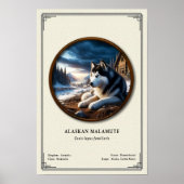 Alaskan Malamute Zoölogische Serie Poster (Voorkant)