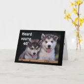 "ALASKAN MALAMUTES 40th BIRTHDAY WISHES" Kaart (Gele Bloem)