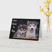 "ALASKAN MALAMUTES BIRTHDAY WISHT" KAART (Gele Bloem)