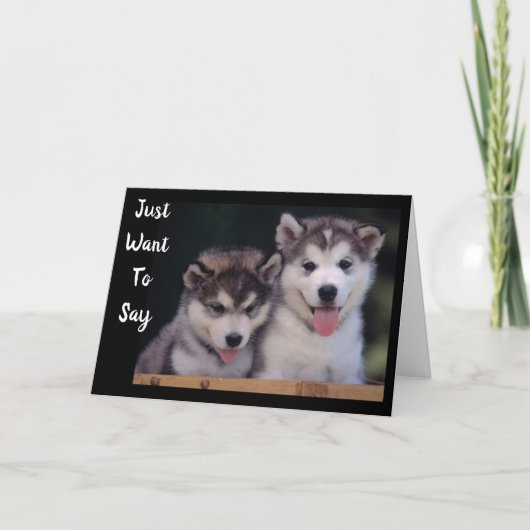"ALASKAN MALAMUTES BIRTHDAY WISHT" KAART (Voorkant)