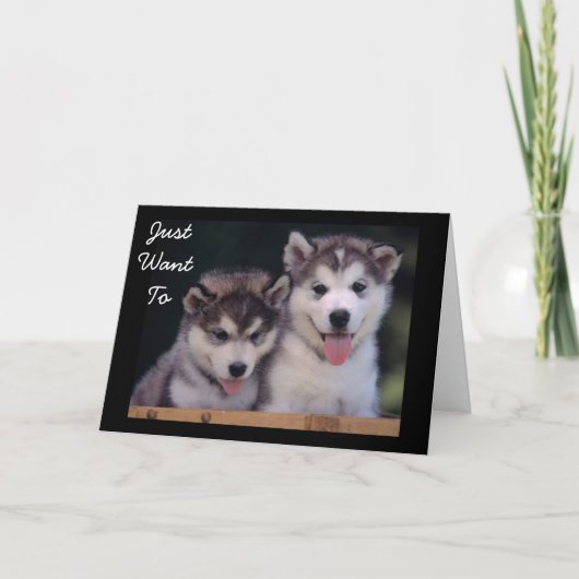 "ALASKAN MALAMUTES BIRTHDAY WISHT" KAART (Voorkant)